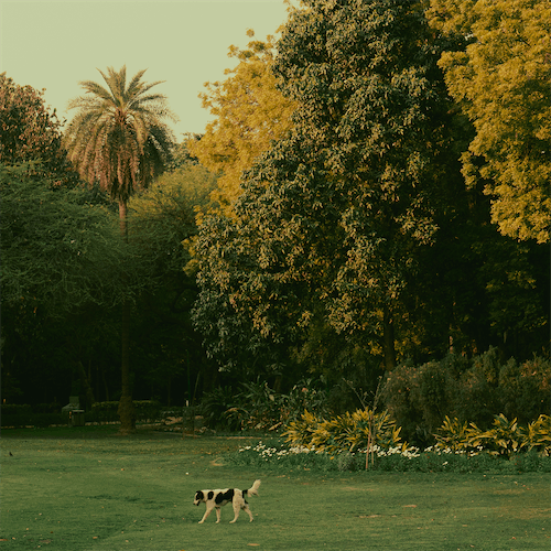 GX Fam Run & breakfast