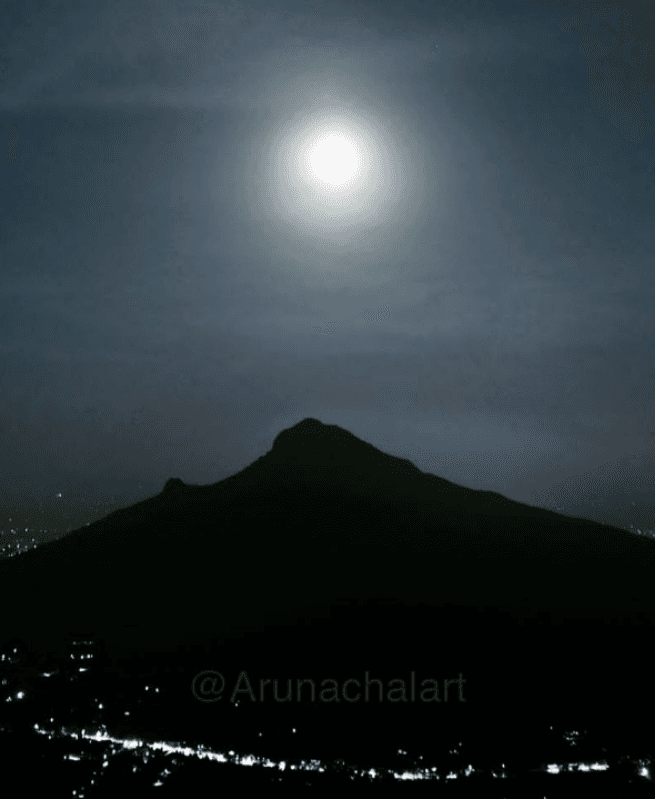 Pause. Reflect. Revive