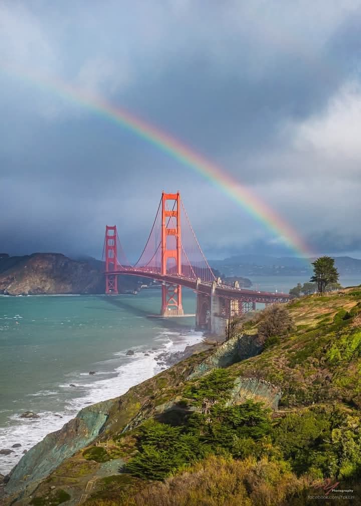 SF.jpg