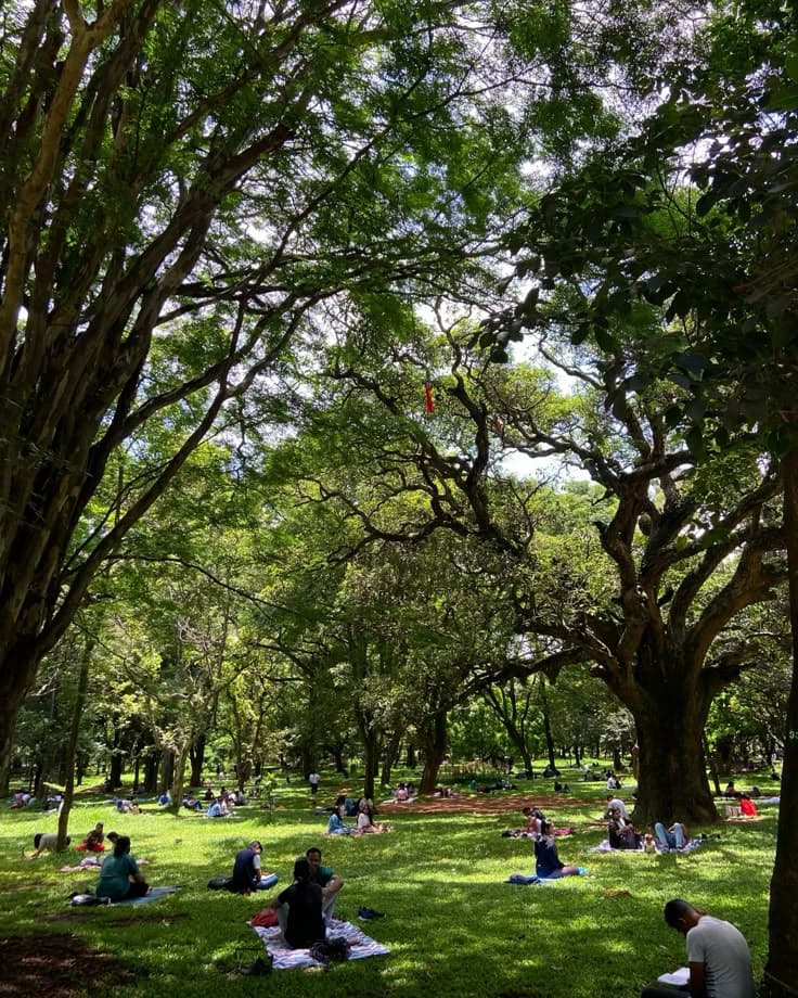 #park #aesthetic #sunday #bangalore #cubbonpark….jpeg